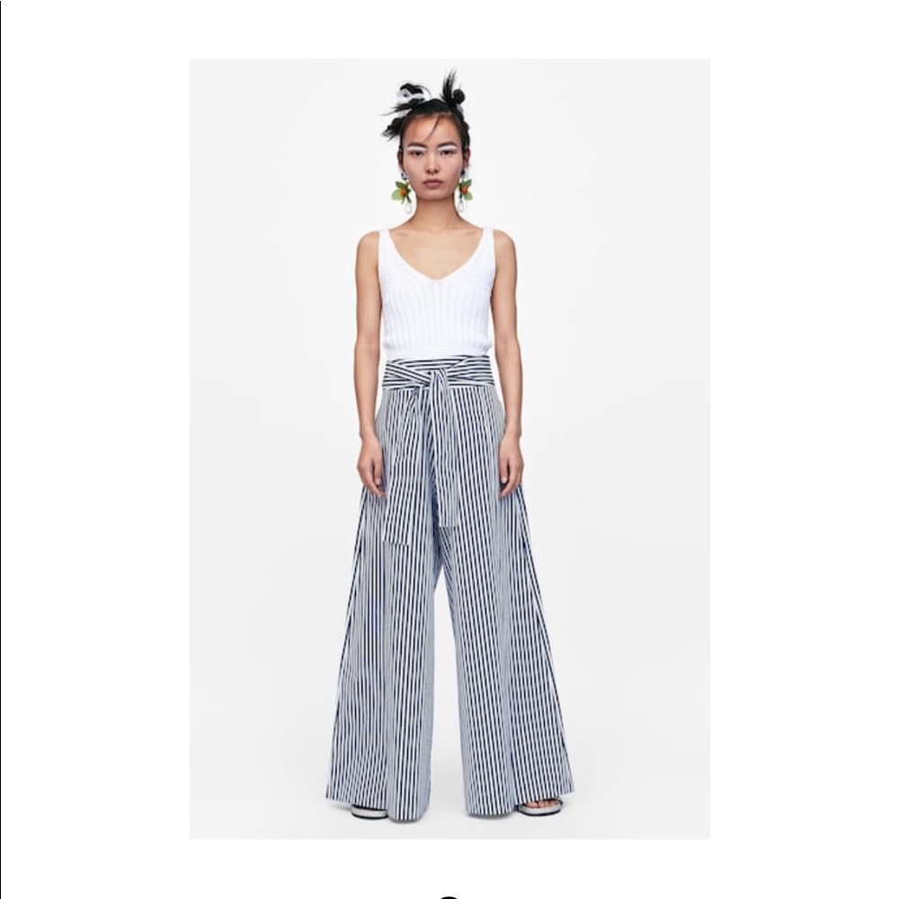 Zara pants